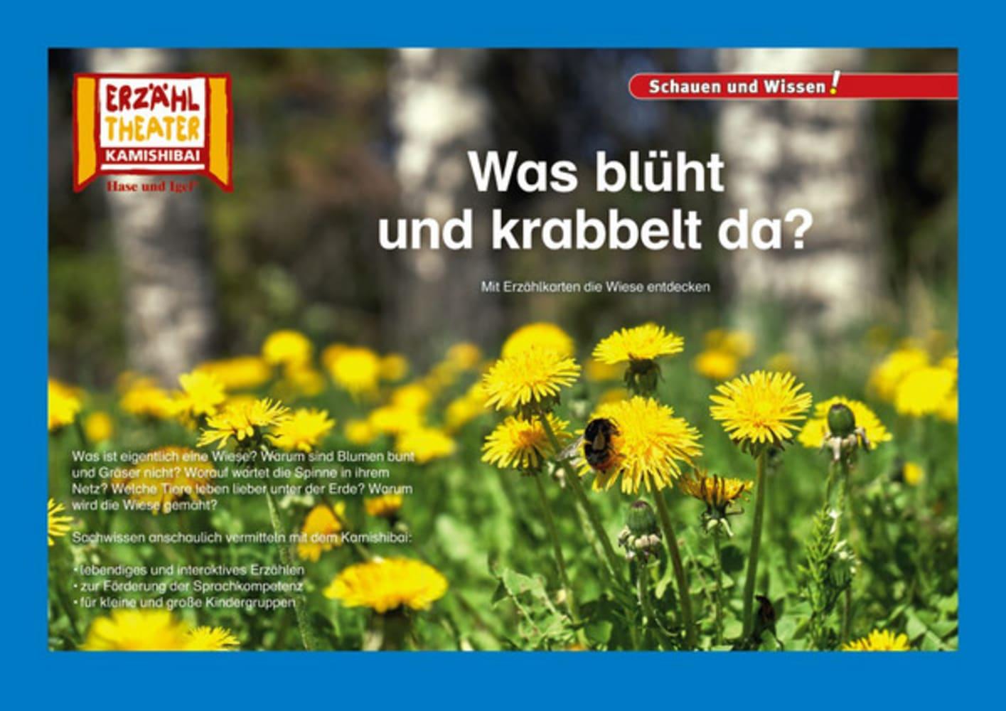 Vorderes Coverbild Kamishibai: Was blüht und krabbelt da?