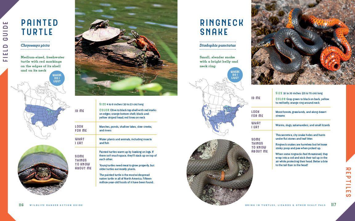 Beispielinhalt (Bild) Wildlife Ranger Action Guide