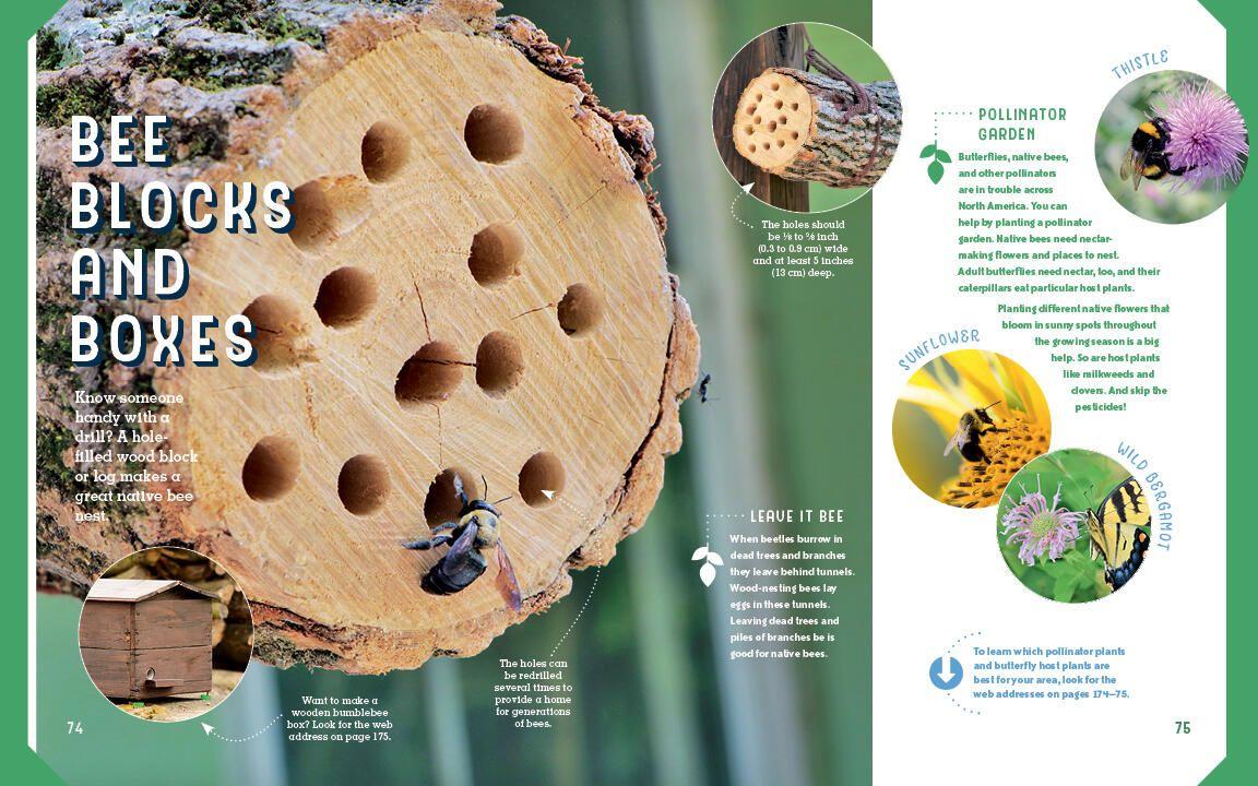 Beispielinhalt (Bild) Wildlife Ranger Action Guide