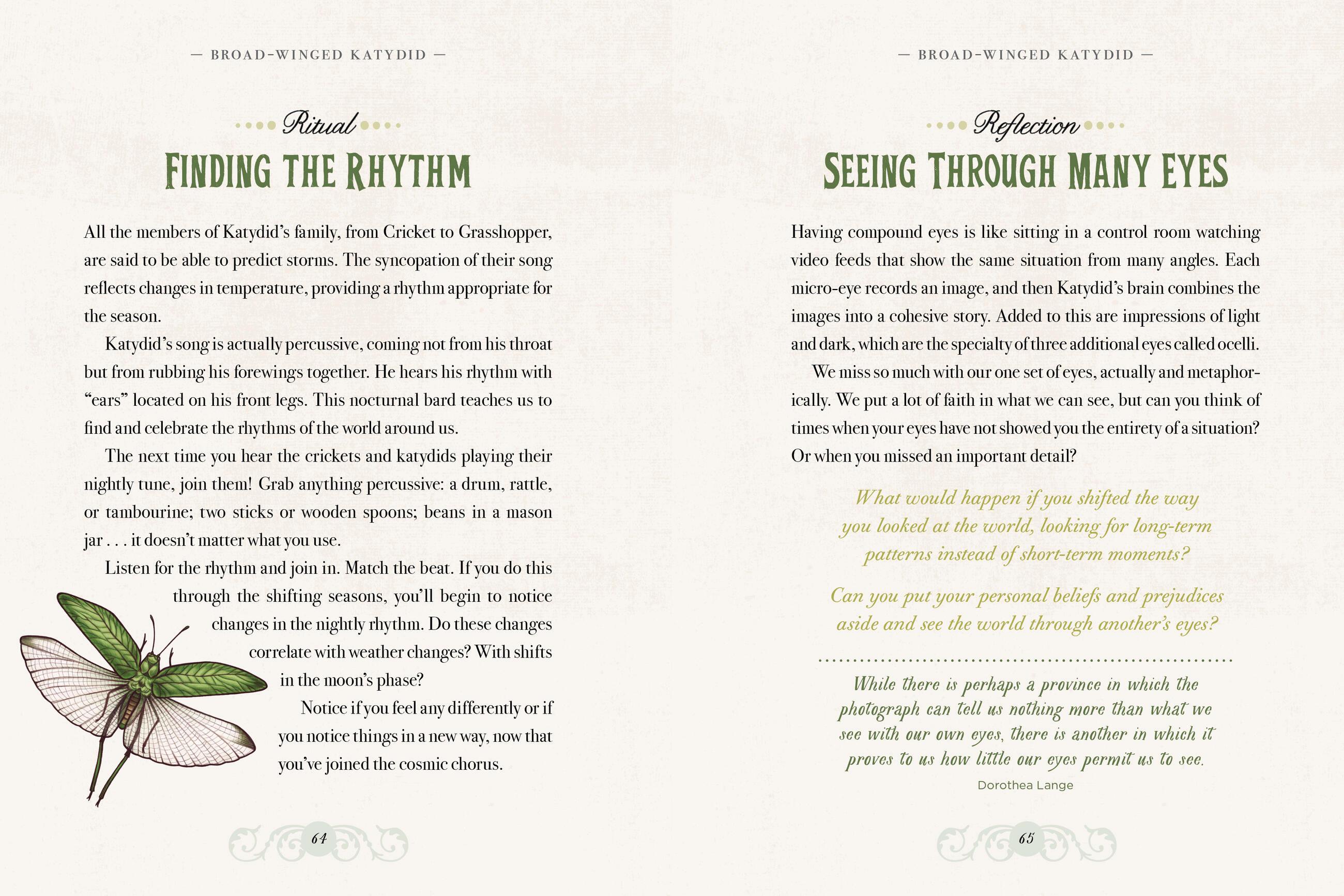 Beispielinhalt (Bild) The Illustrated Bestiary