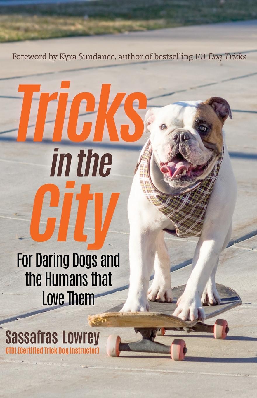 Vorderes Coverbild Tricks in the City