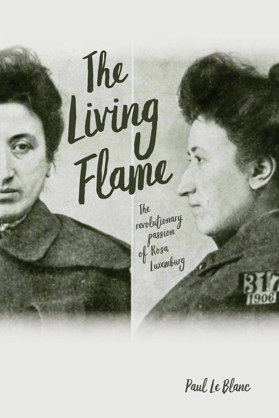 Vorderes Coverbild The Living Flame