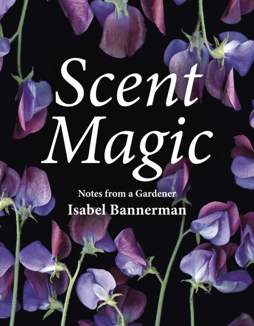 Vorderes Coverbild Scent Magic