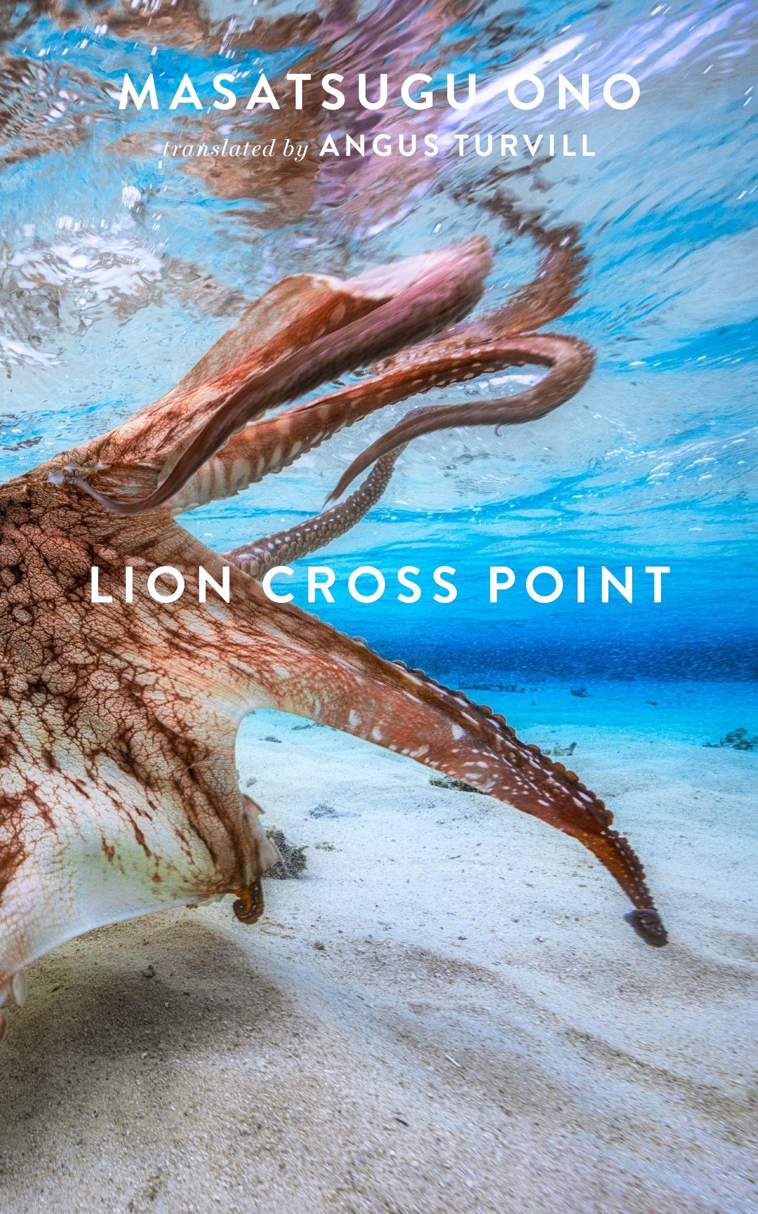 Vorderes Coverbild Lion Cross Point