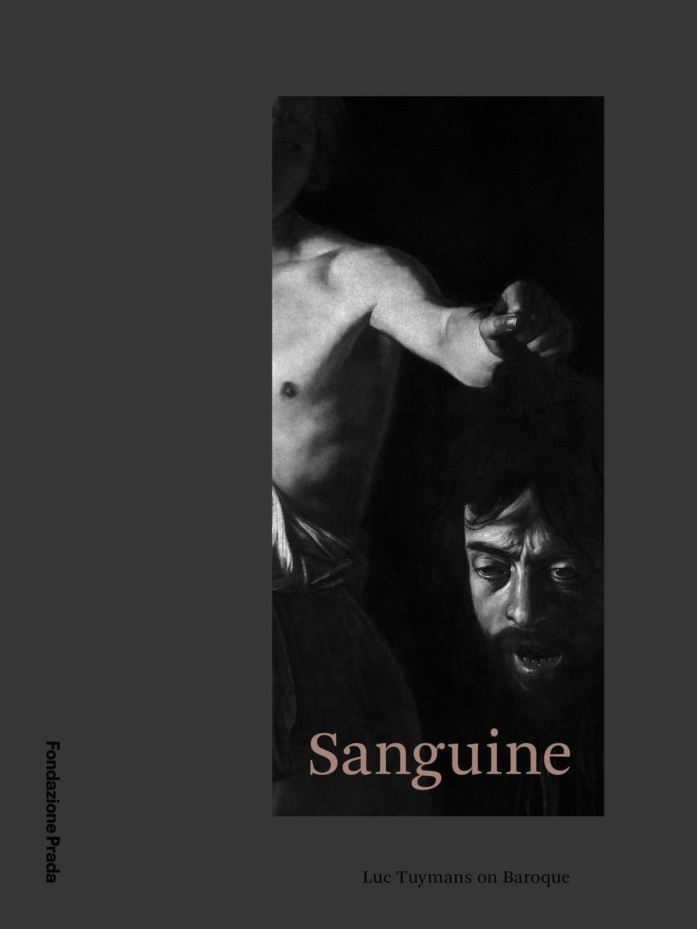 Vorderes Coverbild Sanguine: Luc Tuymans on Baroque