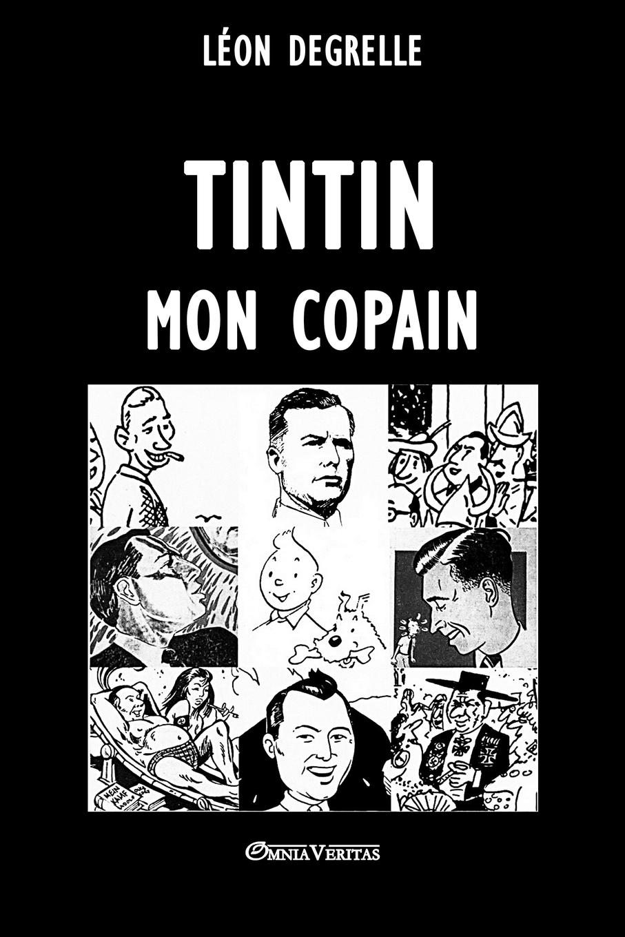 Vorderes Coverbild Tintin, mon copain