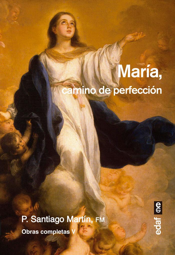 Vorderes Coverbild Maria, Camino de Perfeccion