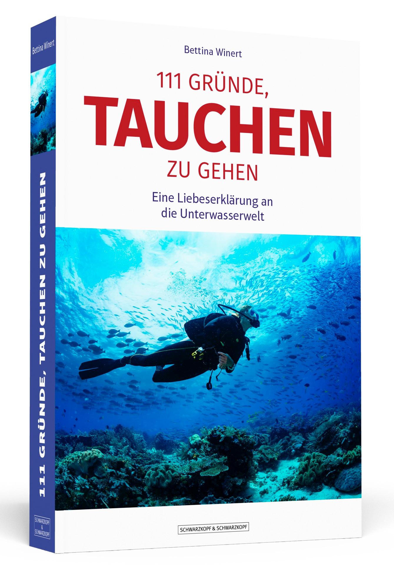 Vorderes Coverbild 111 Gründe, tauchen zu gehen