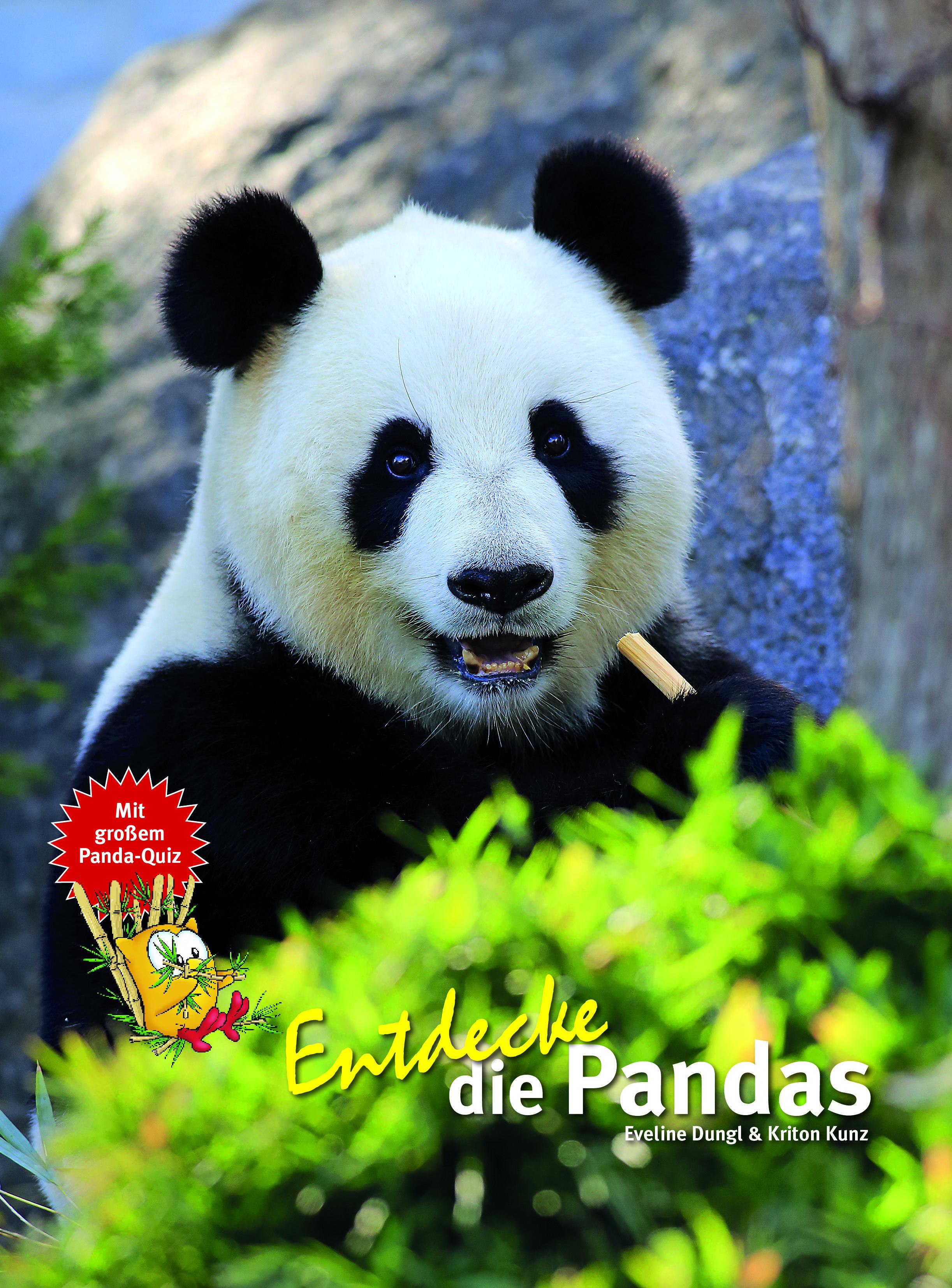 Vorderes Coverbild Entdecke die Pandas