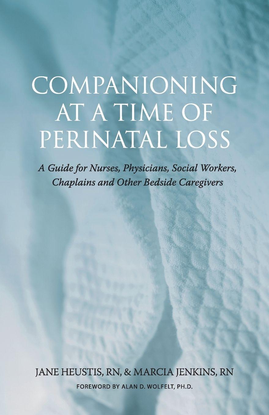 Vorderes Coverbild Companioning at a Time of Perinatal Loss