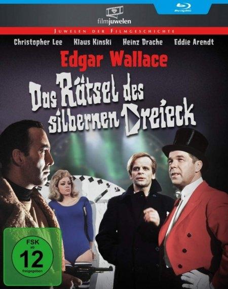 Vorderes Coverbild Das Rätsel des silbernen Dreiecks