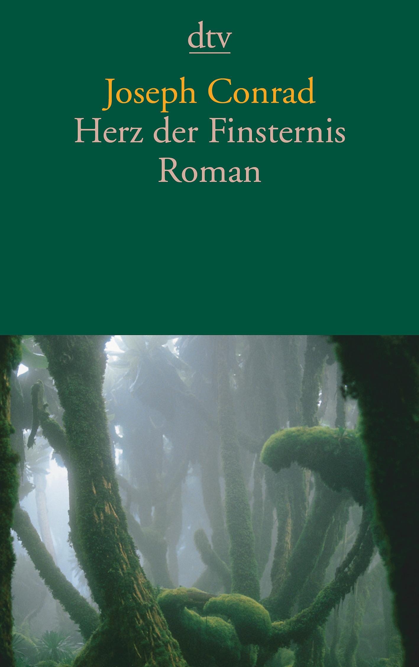 Vorderes Coverbild Herz der Finsternis
