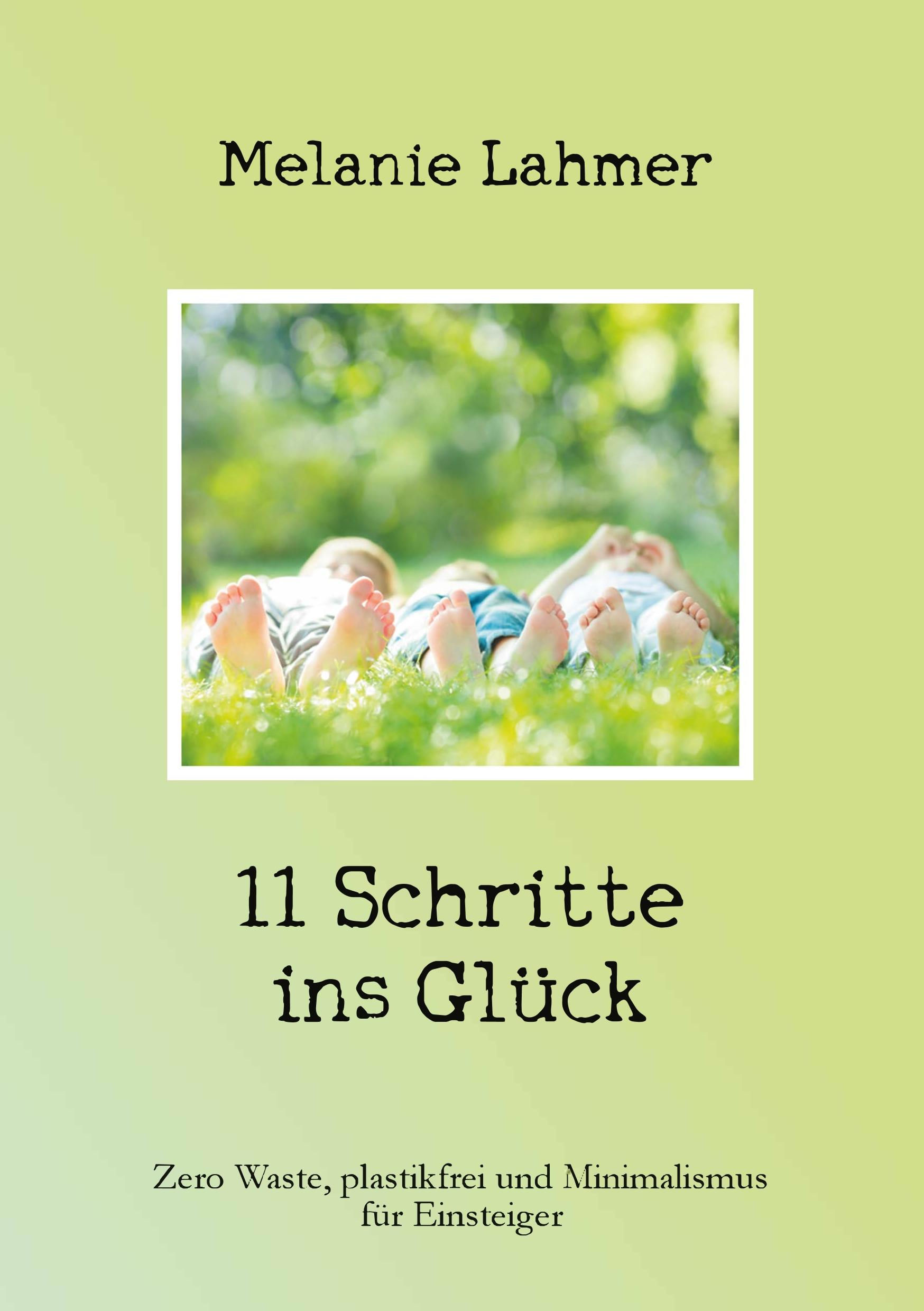 Vorderes Coverbild 11 Schritte ins Glück