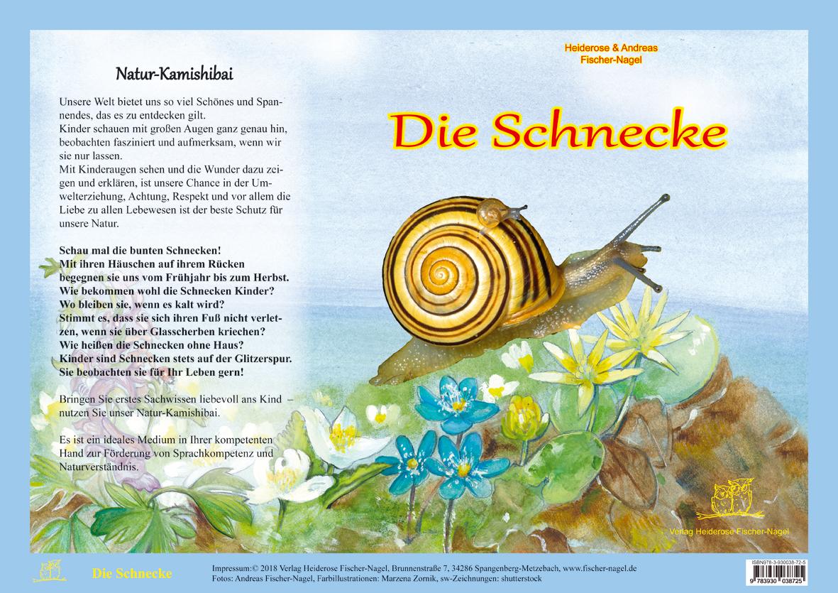 Vorderes Coverbild Die Schnecke - Natur-Kamishibai