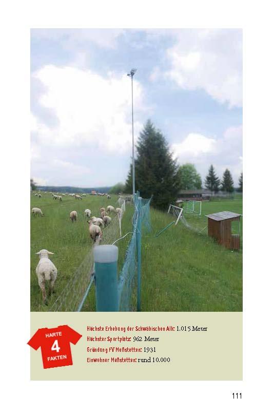 Beispielinhalt (Bild) Fußballheimat Württemberg