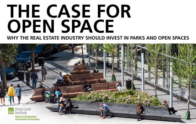Vorderes Coverbild The Case for Open Space