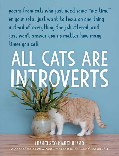 Vorderes Coverbild All Cats Are Introverts