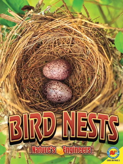 Vorderes Coverbild Bird Nests
