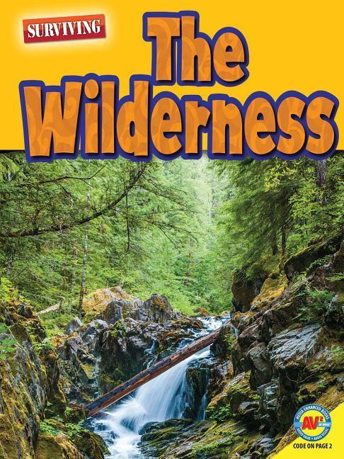 Vorderes Coverbild The Wilderness