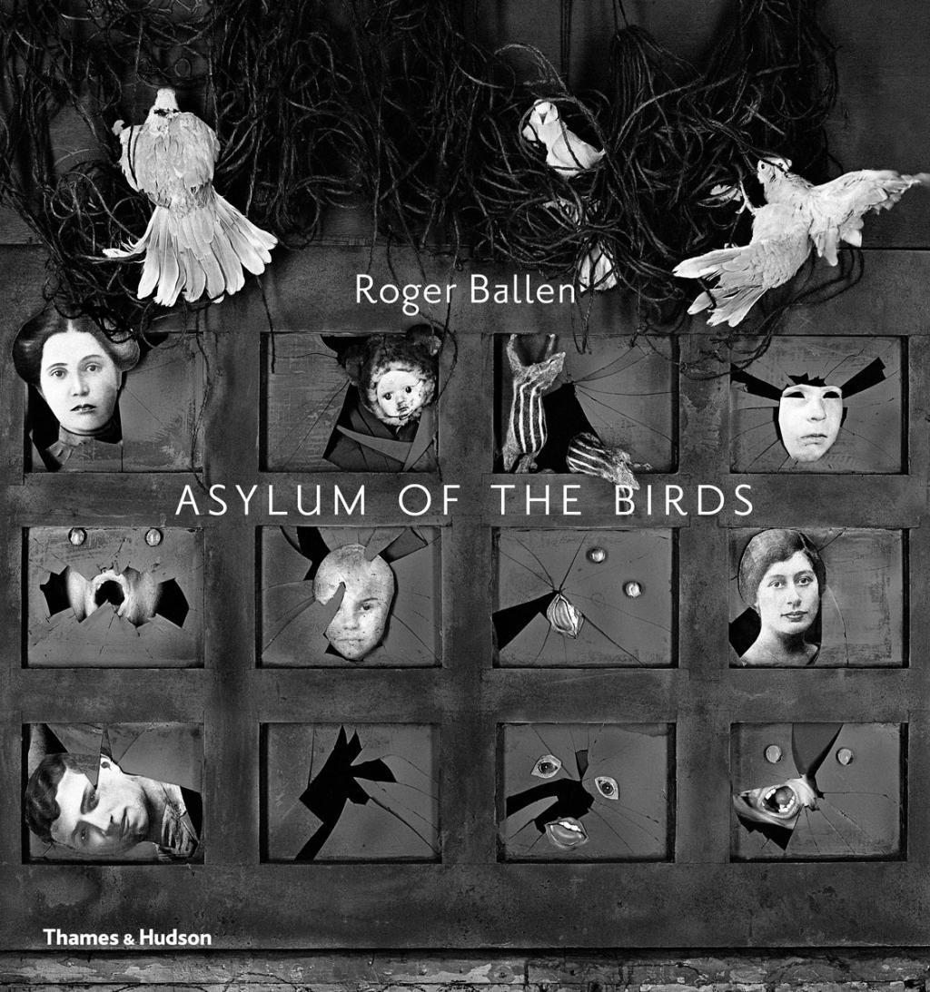 Vorderes Coverbild Asylum of the Birds