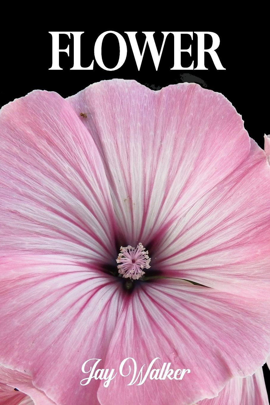 Vorderes Coverbild Flower