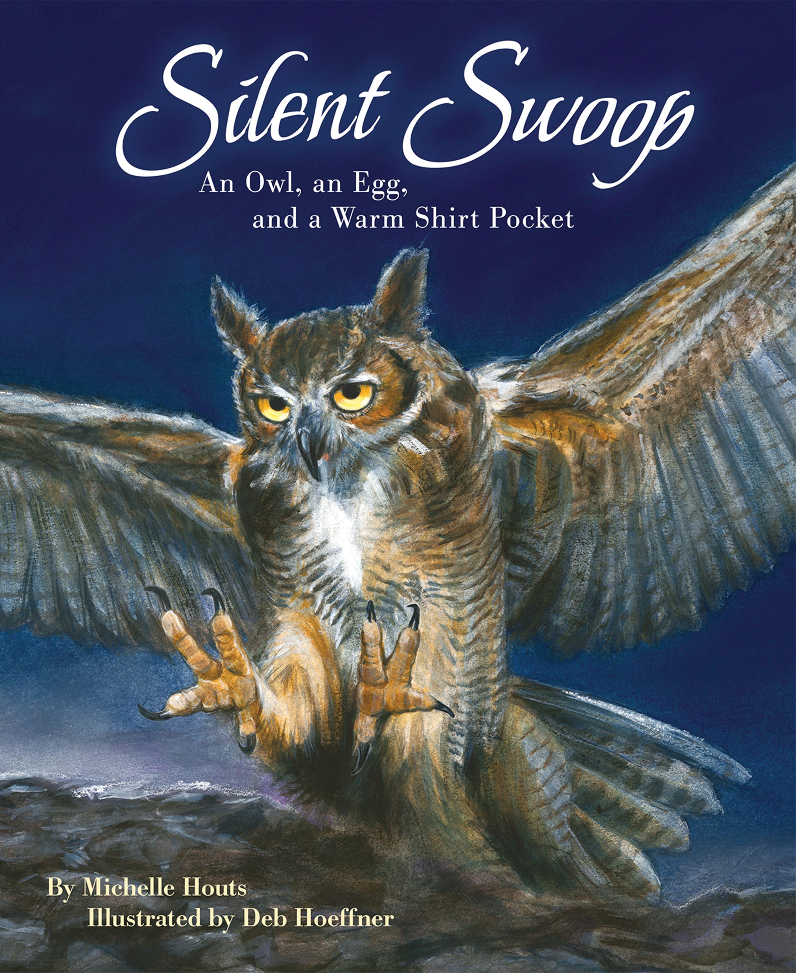 Vorderes Coverbild Silent Swoop