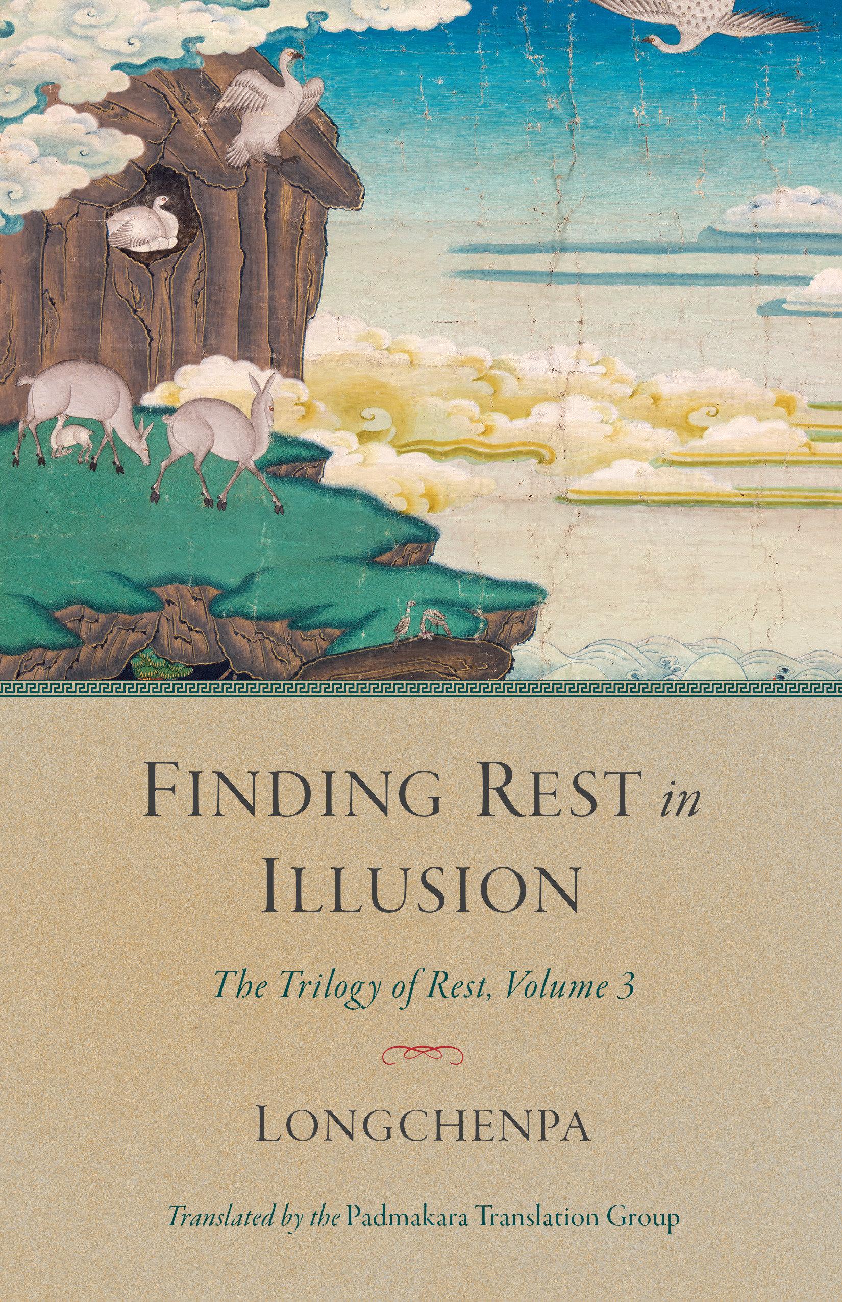 Vorderes Coverbild Finding Rest in Illusion
