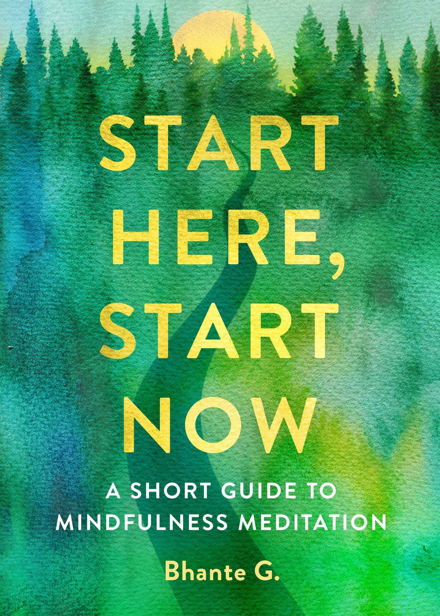 Vorderes Coverbild Start Here, Start Now