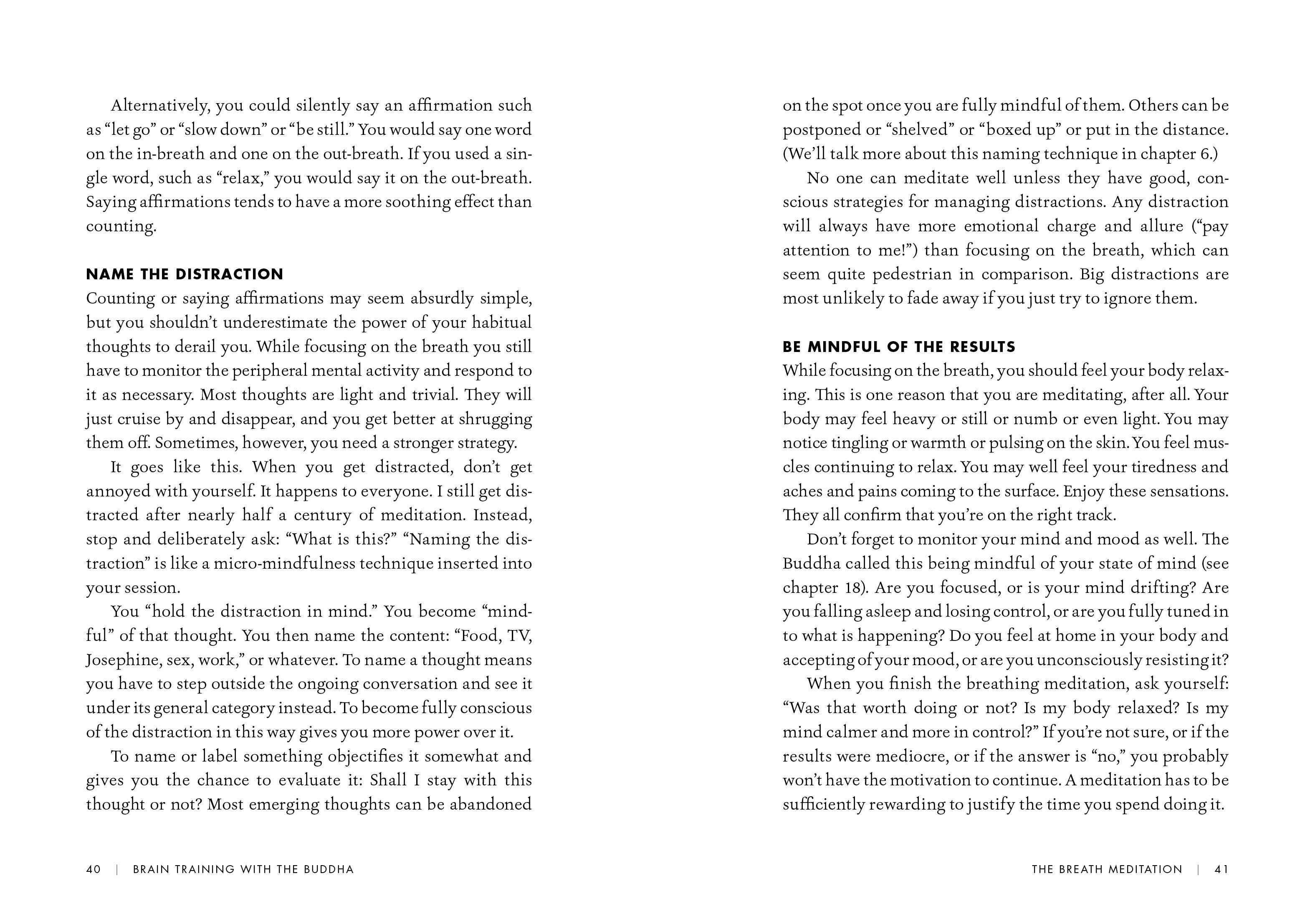 Beispielinhalt (Bild) Brain Training with the Buddha