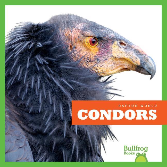 Vorderes Coverbild Condors
