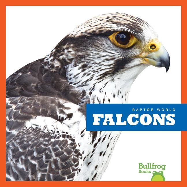 Vorderes Coverbild Falcons