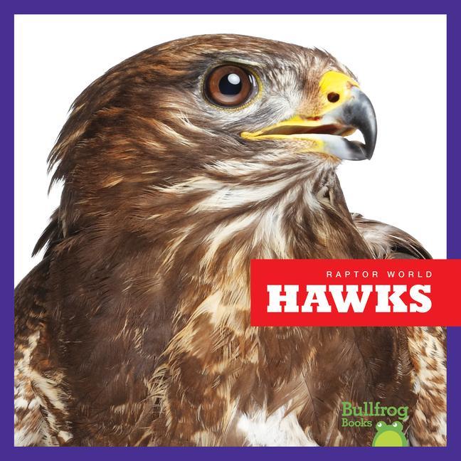 Vorderes Coverbild Hawks
