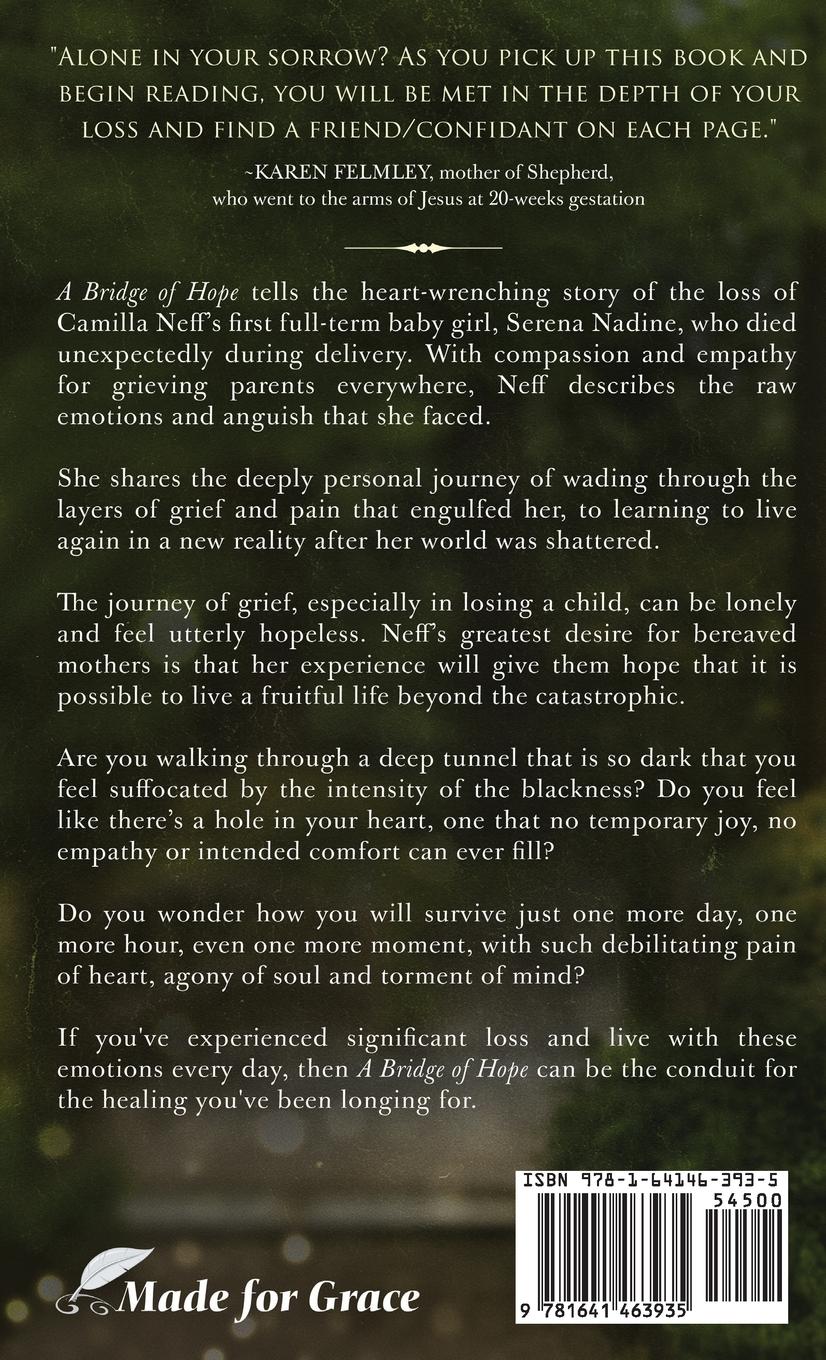 Rückseitencover A Bridge of Hope