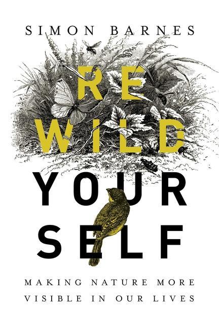 Vorderes Coverbild Rewild Yourself