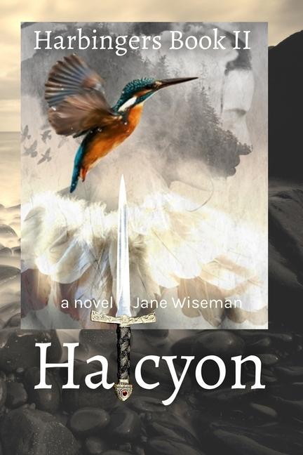 Vorderes Coverbild Halcyon: A fantasy novel of love, loss, and rebellion