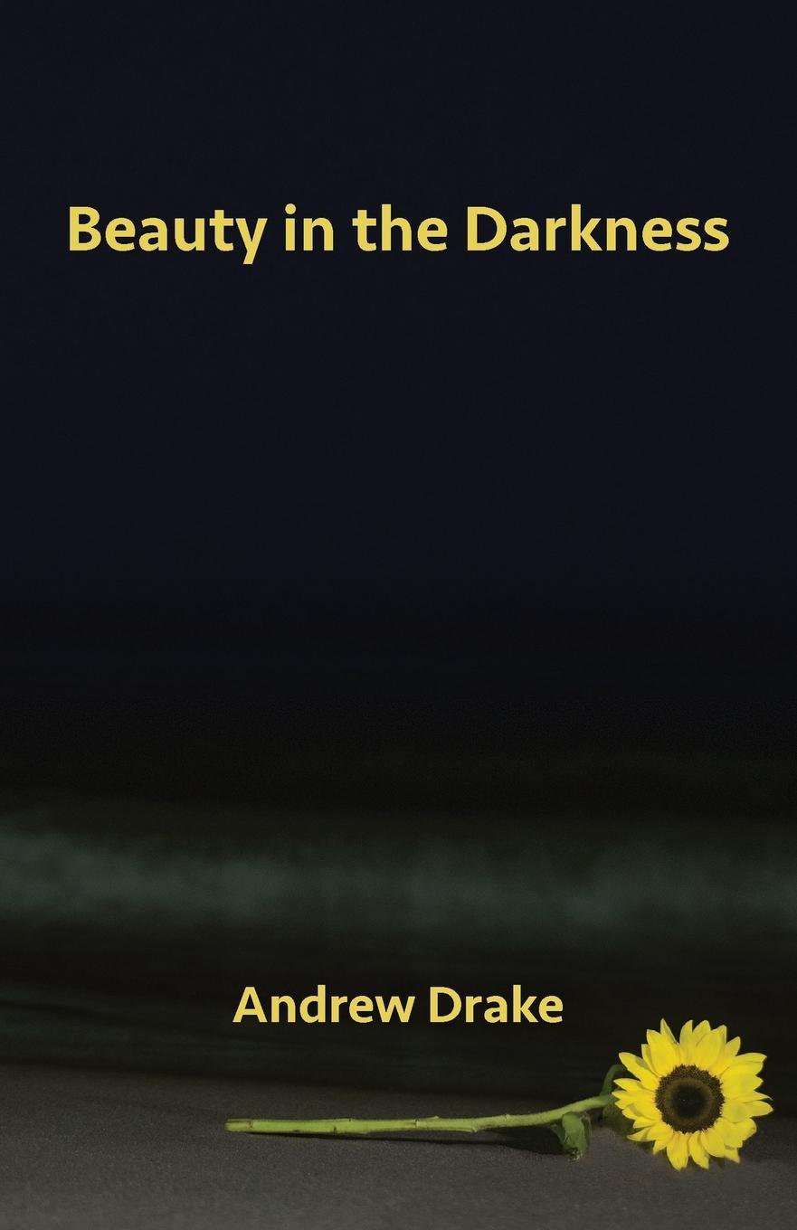 Vorderes Coverbild Beauty in the Darkness