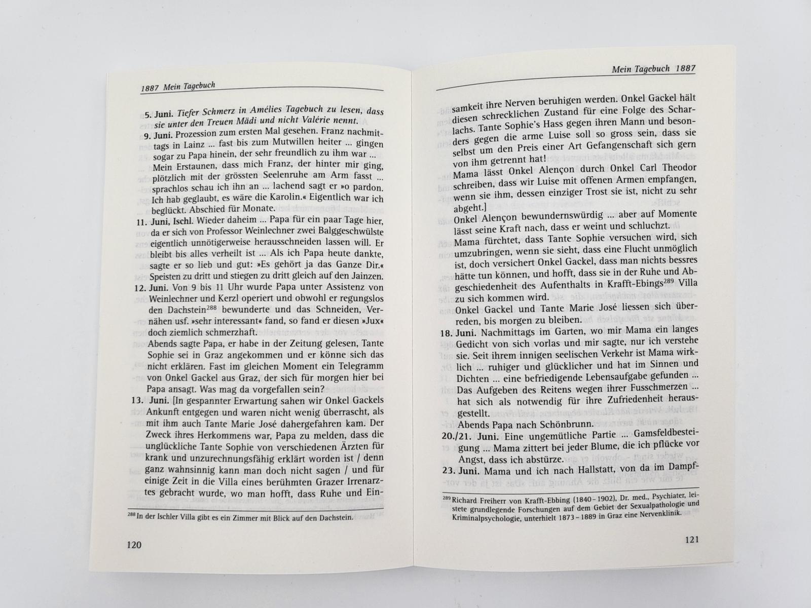 Beispielinhalt (Bild) Das Tagebuch der Lieblingstochter von Kaiserin Elisabeth 1878-1899