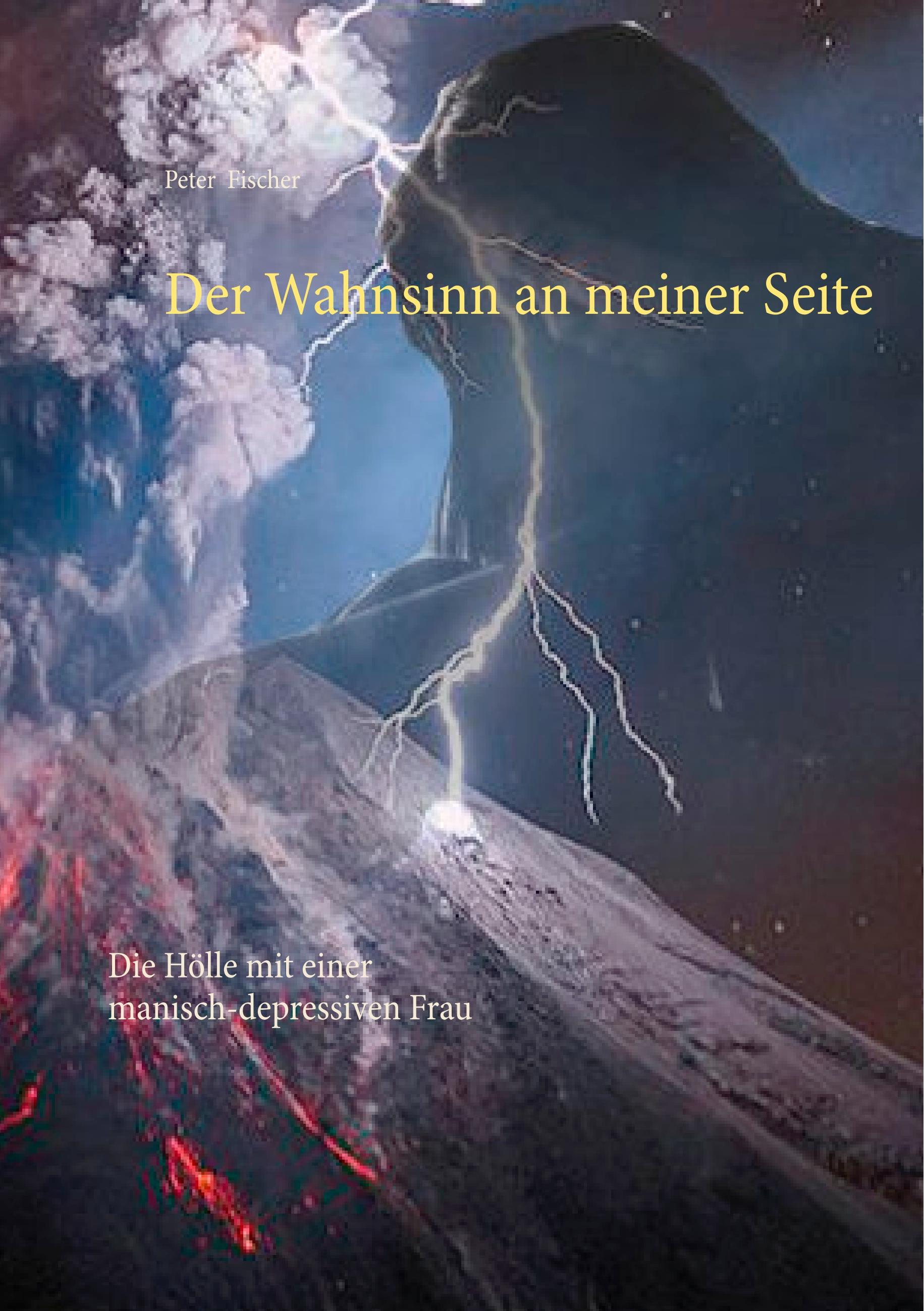 Vorderes Coverbild Der Wahnsinn an meiner Seite