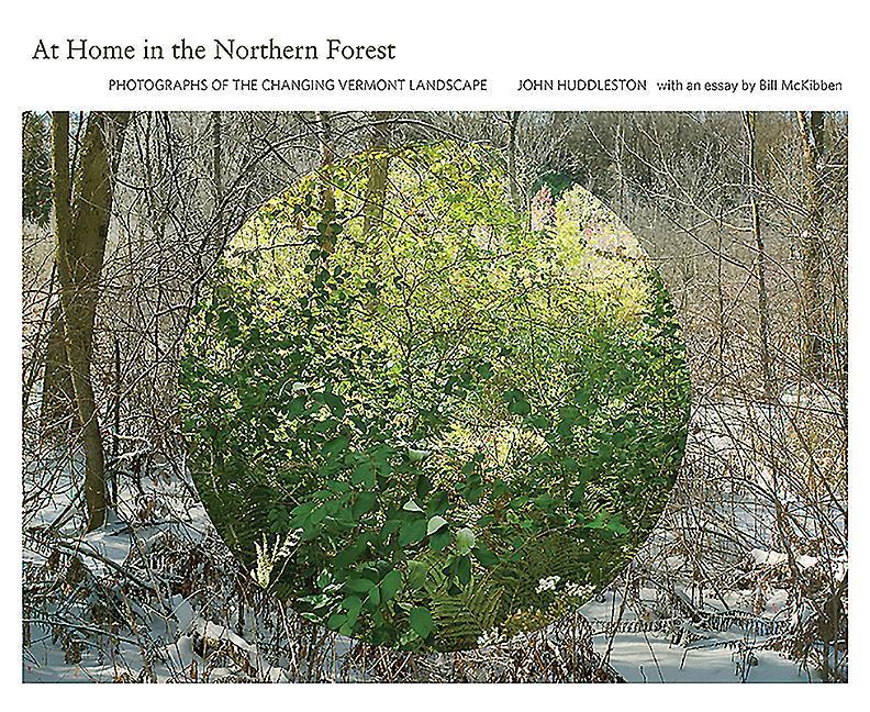 Vorderes Coverbild At Home in the Northern Forest