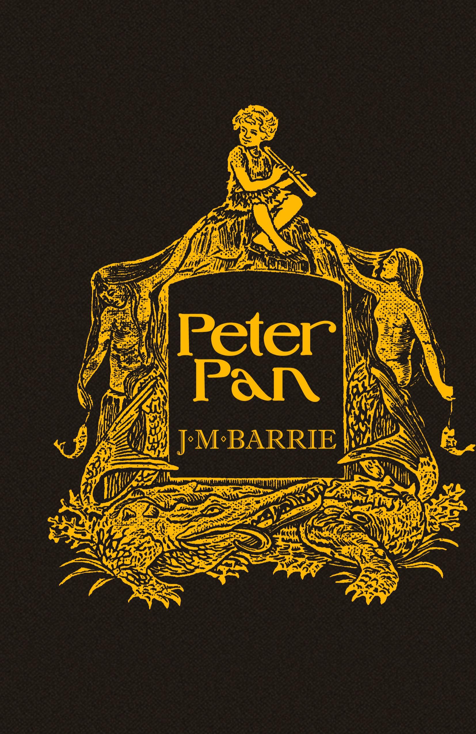 Vorderes Coverbild Peter Pan