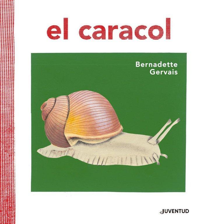 Vorderes Coverbild El Caracol
