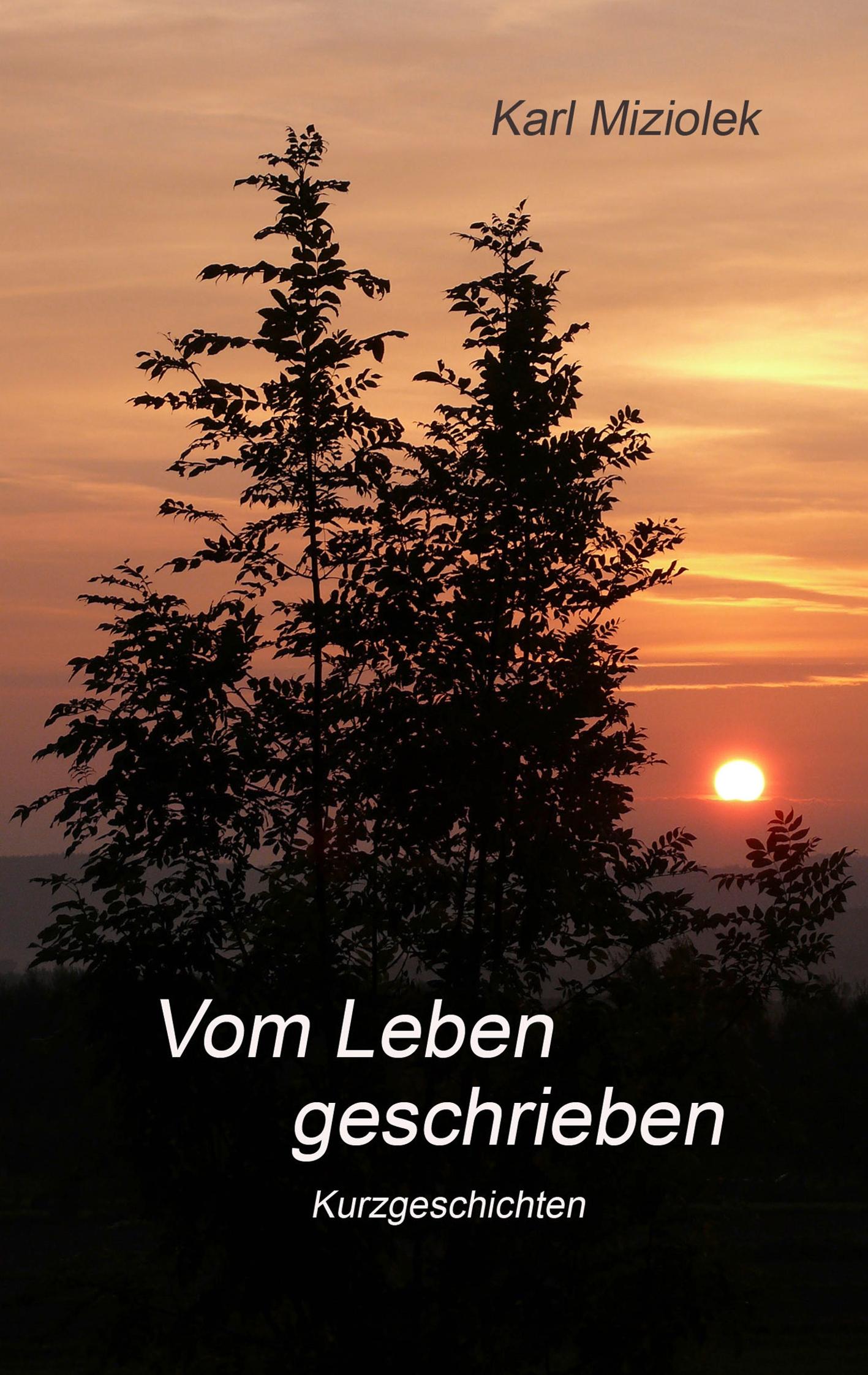 Vorderes Coverbild Vom Leben geschrieben