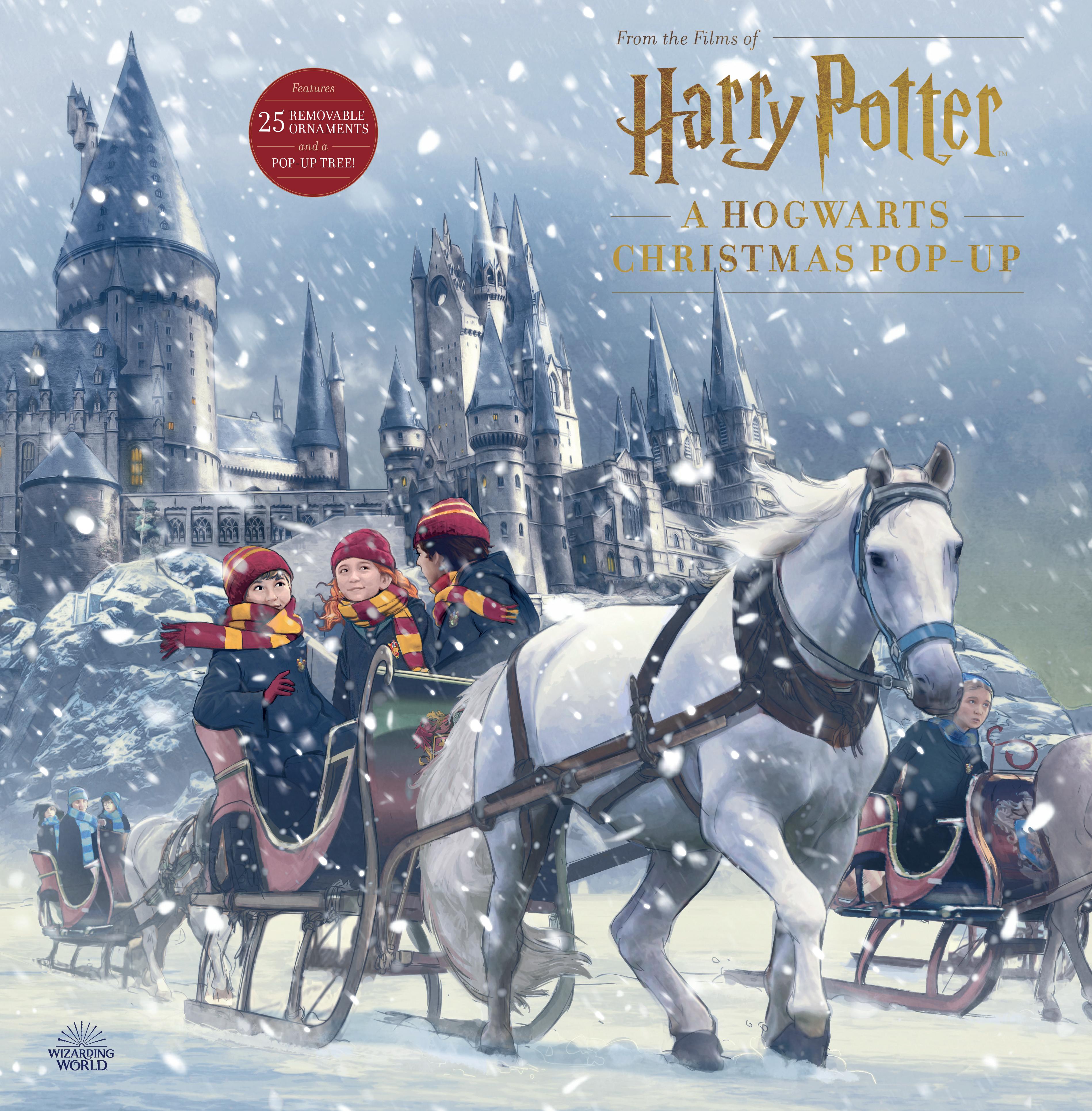 Vorderes Coverbild Harry Potter: A Hogwarts Christmas Pop-Up (Advent Calendar)