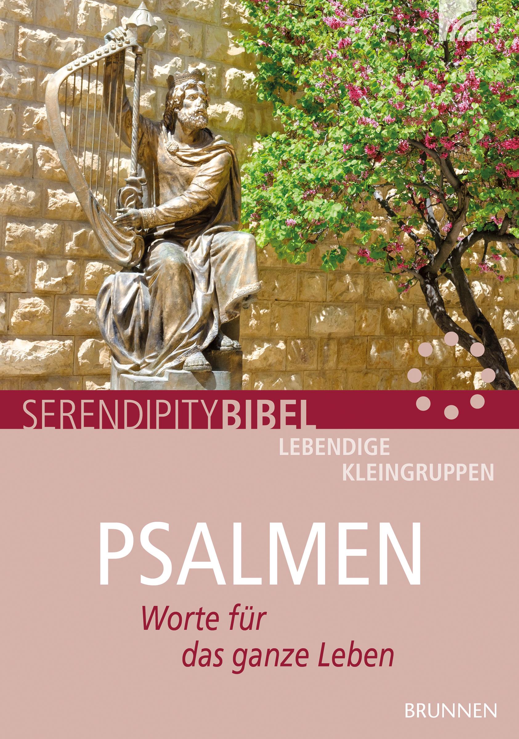 Vorderes Coverbild Psalmen
