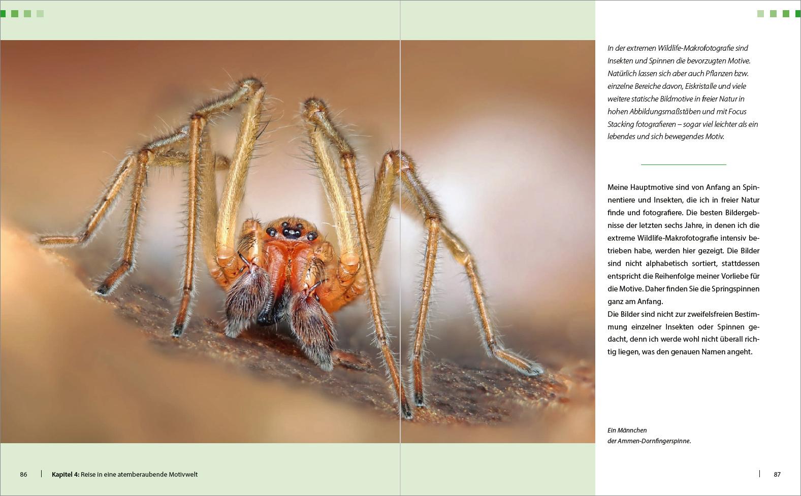 Beispielinhalt (Bild) Extreme Wildlife-Makrofotografie