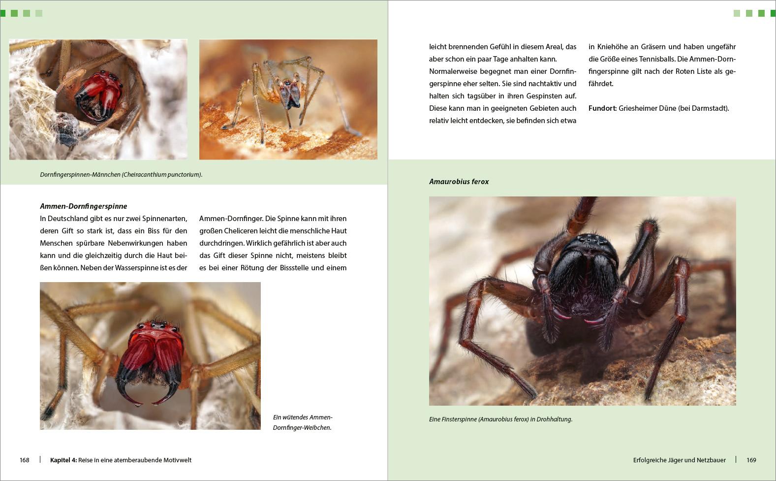 Beispielinhalt (Bild) Extreme Wildlife-Makrofotografie