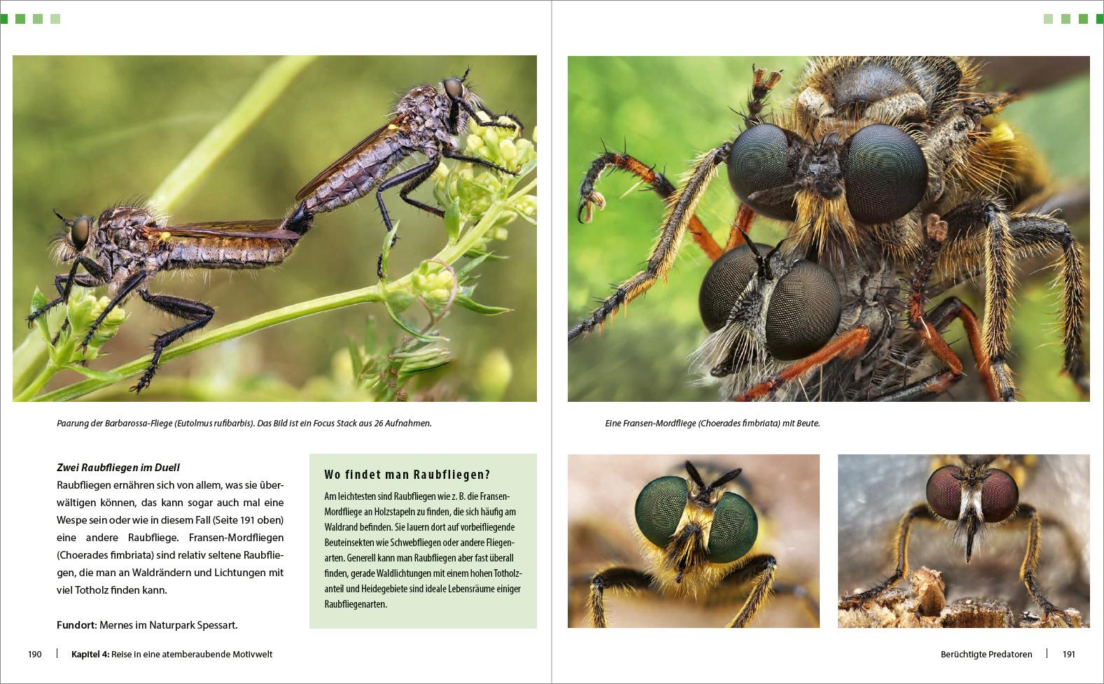 Beispielinhalt (Bild) Extreme Wildlife-Makrofotografie