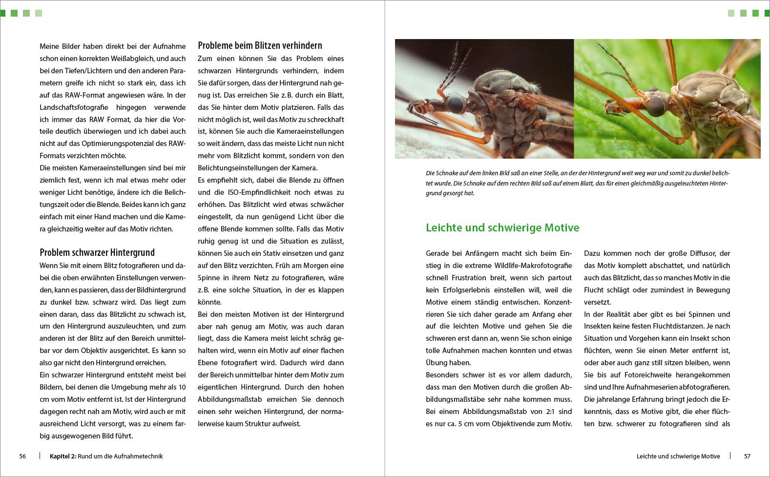 Beispielinhalt (Bild) Extreme Wildlife-Makrofotografie