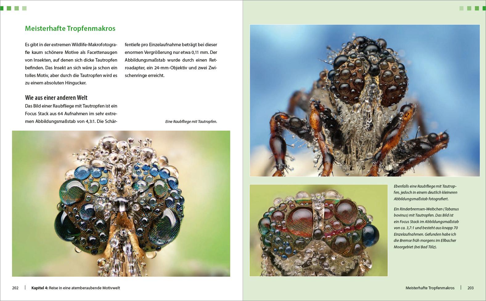 Beispielinhalt (Bild) Extreme Wildlife-Makrofotografie