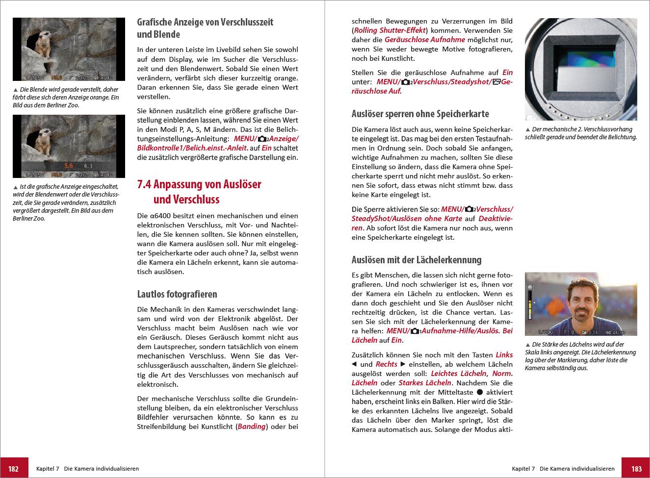 Beispielinhalt (Bild) Sony A6400